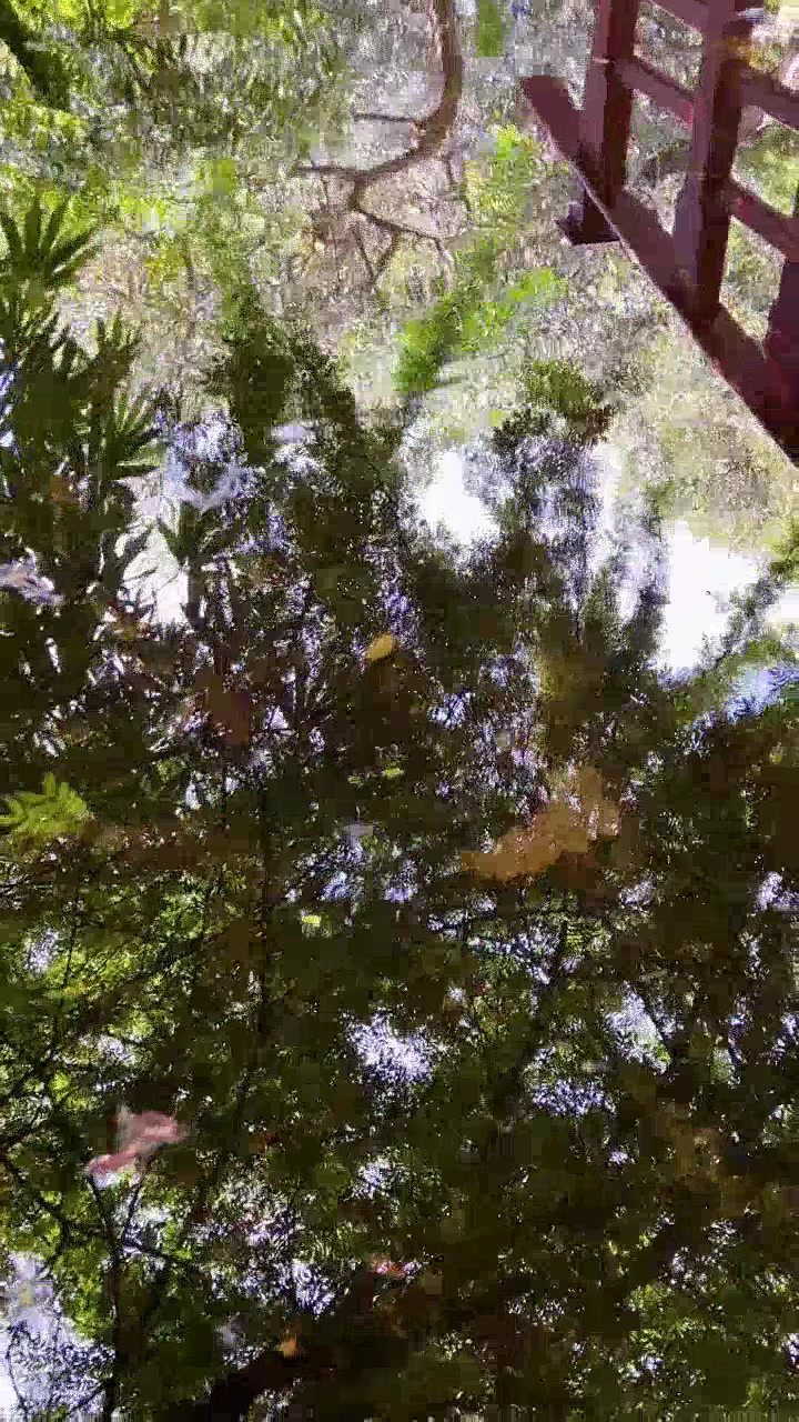 OM