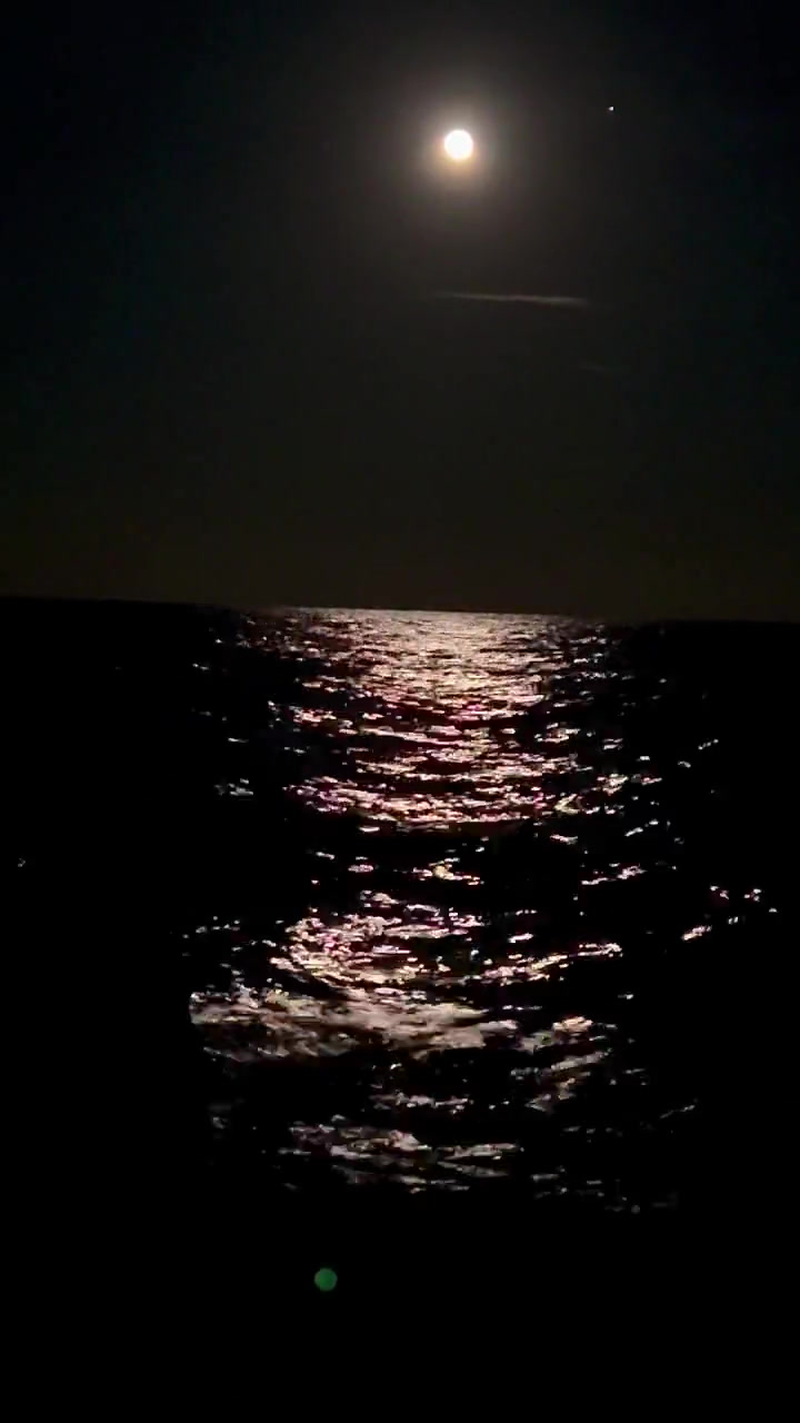 NIGHT