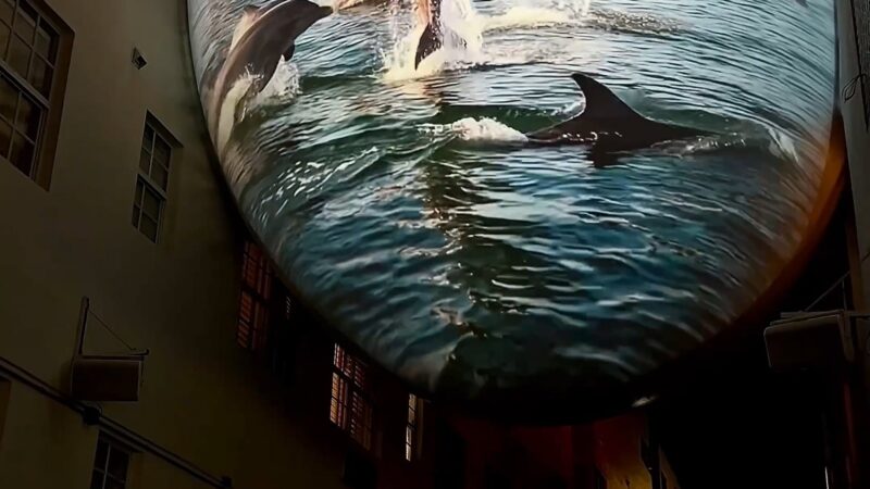 AESTHETICS OF DECAY XR Cinematic Intervention March 2026  Reception &mdash; March 6 | 7&ndash;11PM Nightly Screenings | Dusk&ndash;Midnight  The Orb The Betsy Hotel 1440 Ocean Drive | South Beach  @dNASAb  &mdash;  The Orb transforms &mdash; altar, cathedral, broken screen, media sculpture &mdash; a public-facing act of contemporary storytelling shaped through personal loss and disruptive media arts.    https://dnasab.net/orb/