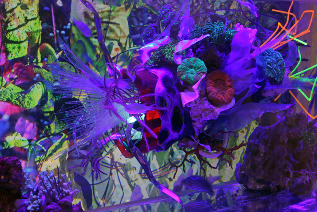[A Re-Contextualization of the living marine reef ecosystem] 40 gallon custom acrylic aquarium,pumps, filters, actinic lights, resin,fiber optics,acrylic, reclaimed plastics, led’s,thermal formed plastics, archival imaged plastics, 40 living corals,fish, shrimp, invertebrates, algae,1080p HD video with original audio track. 36 (w) X 92″ (h) x 24 inches
