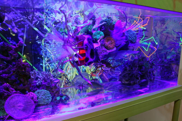 [A Re-Contextualization of the living marine reef ecosystem] 40 gallon custom acrylic aquarium,pumps, filters, actinic lights, resin,fiber optics,acrylic, reclaimed plastics, led’s,thermal formed plastics, archival imaged plastics, 40 living corals,fish, shrimp, invertebrates, algae,1080p HD video with original audio track. 36 (w) X 92″ (h) x 24 inches