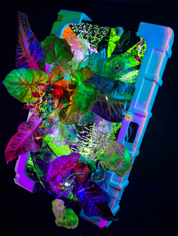 ene Plasticene Daydream; LCD Bloom #3" video sculpture 2021