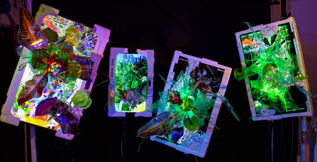 “Obscene Plasticene Daydream; LCD Bloom #1,#2 #3,and #WIP” video sculpture 2020-2021