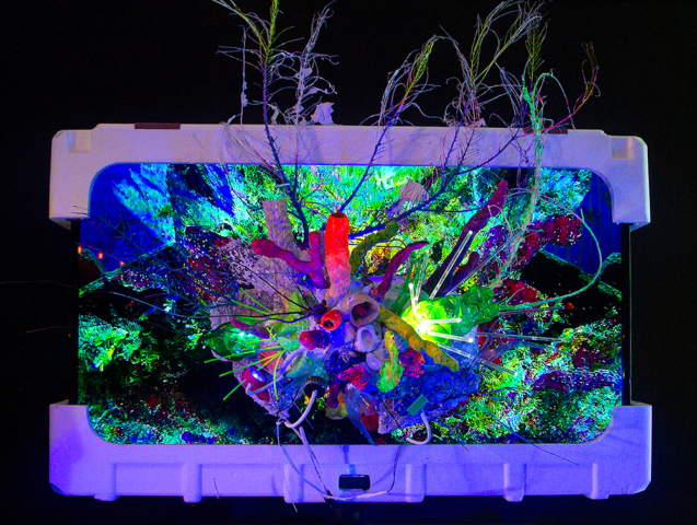 “Obscene Plasticene Daydream; LCD Coral Polyp #4” [Mediated Reef ECOsystem]___video sculpture 2021_[dNASAb]