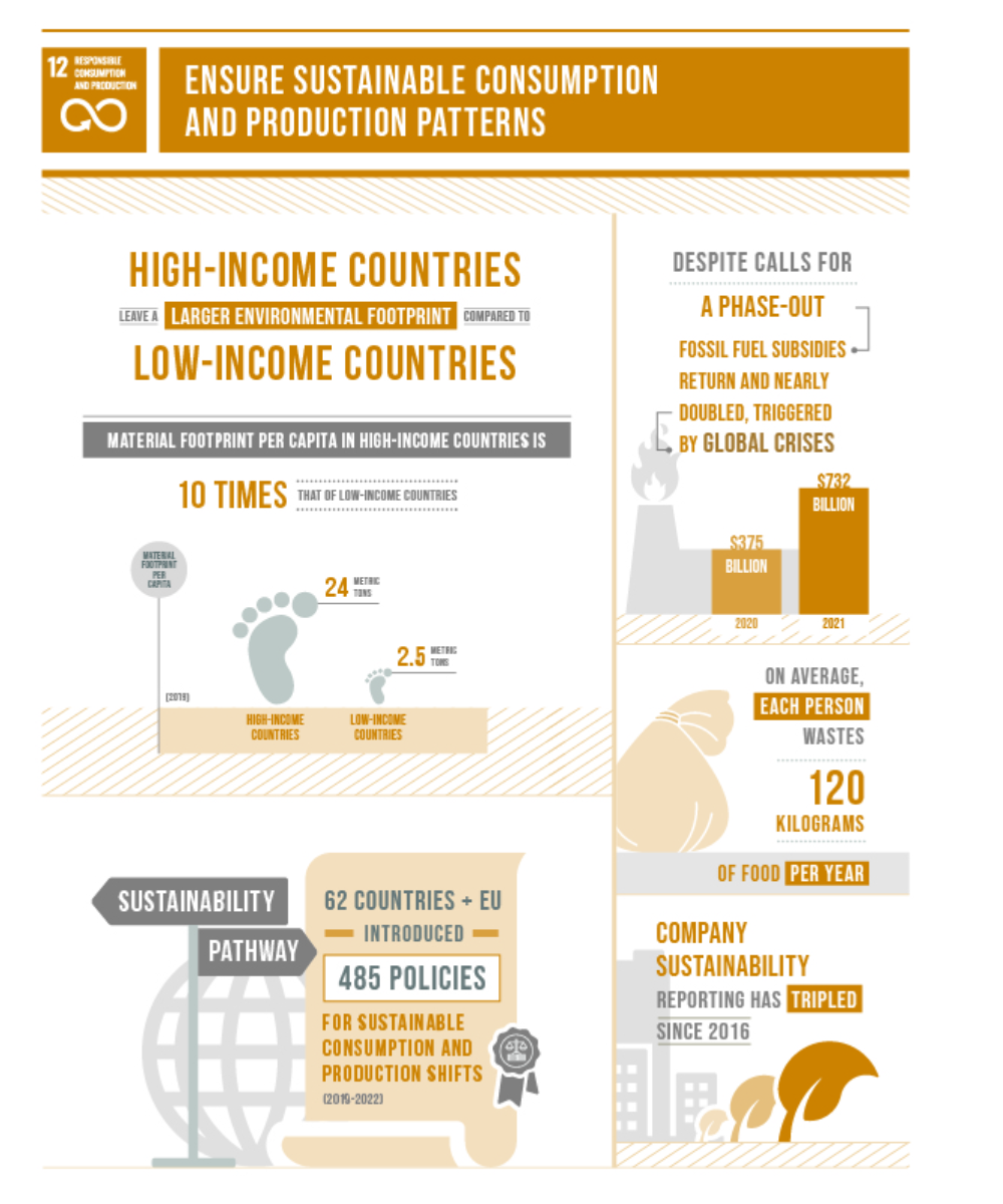 United Nations_ Sustainable Development Guideline #12 [dNASAb]