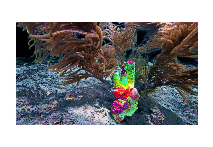 [dNASAb]_Video Art_"Obscene Plasticene Daydream_Derelict Reef Resiliency/Refurbishment #4" 1 of 1, excerpt of 2.48 min video, UHD 4k at 24 fps _