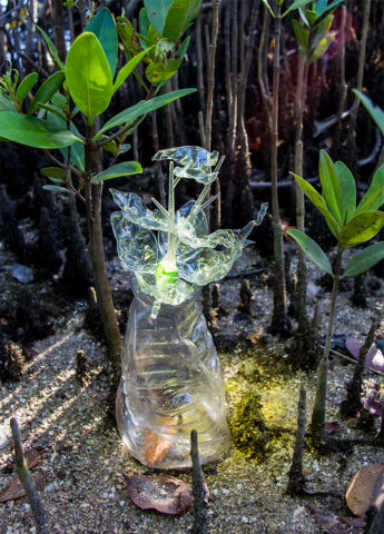 “Obscene Plasticene Daydream_ Mangroves” 2018 photograph, edition of 7 + 2 AP 42″ H (x) 26.87″ W [dNASAb]