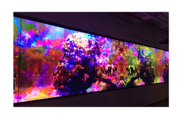 "Aquascaping PARASPACE" screens on a 27 screen video wall October 5 – October 30, 2015 PARASPACE "the condition of hyperspace [that] is itself insane"