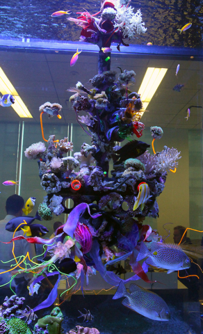 “Sculpting Life, A re-contextualization of the living marine reef ecosystem” 2014 Thermal formed plastics,24 hand cast archival images, 60 living corals, cast clear plastic 3d fiber optic nodes,270 led’s,acrylic, fiber optics,reclaimed/recycled plastics, aquatic resin, live rock, and a full marine ecosystem. “Sculpting Life, A re-contextualization of the living marine reef ecosystem” 2014 Thermal formed plastics,24 hand cast archival images, 60 living corals, cast clear plastic 3d fiber optic nodes,270 led’s,acrylic, fiber optics,reclaimed/recycled plastics, aquatic resin, live rock, and a full marine ecosystem. [dNASAb]