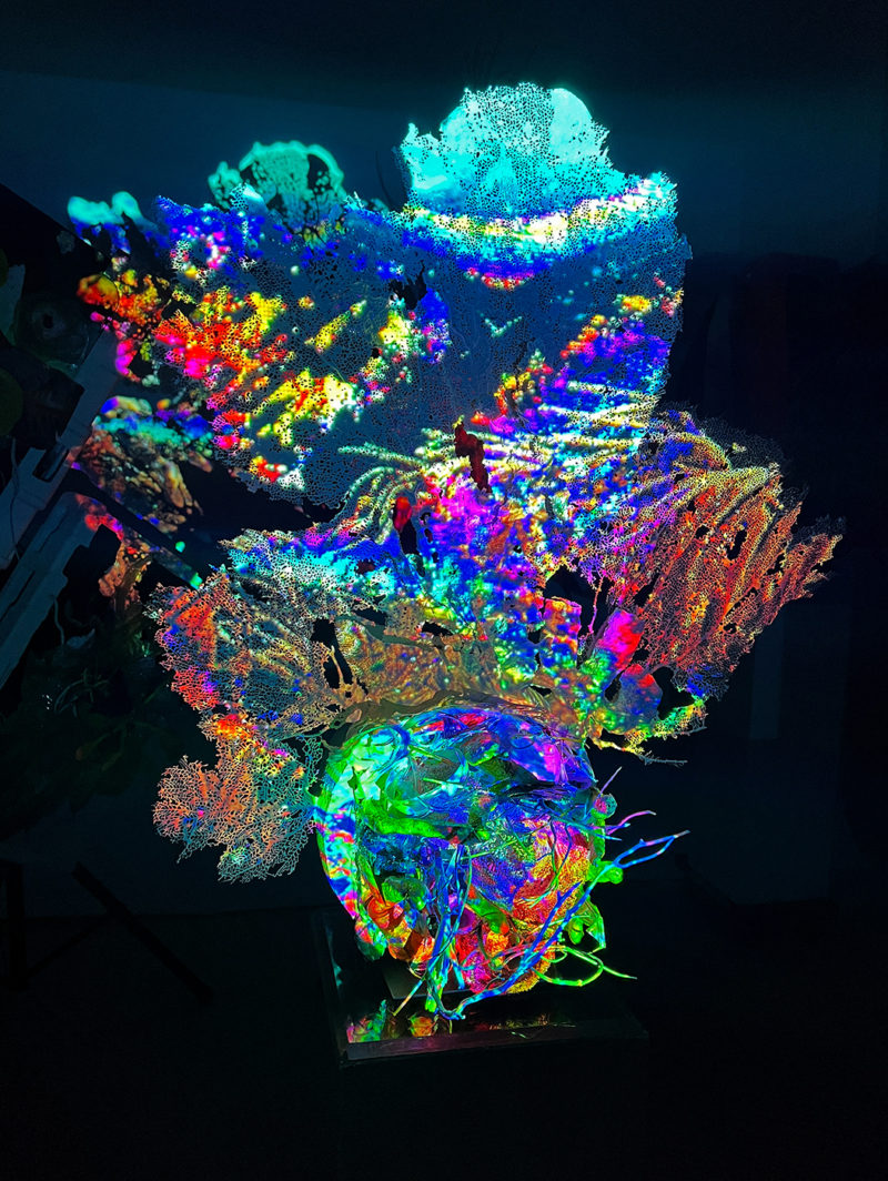 &rdquo; Anthropocene polyps; Filter feeding pixelated plankton_Obscene Plasticene Daydream&rdquo; 2023 Gorgonia ventalina (purple sea fan), reclaimed marine debris from Biscayne Bay (styrofoam,plastic bottles, prescription pill container,bottle caps, derelict fishing net, monofilament, dead sponges and corals), salvaged buoy ball, epoxy, airbrush paint. UHD Video shot underwater in Biscayne Bay and remixed with artist created content in the studio and projection mapped onto sculpture.