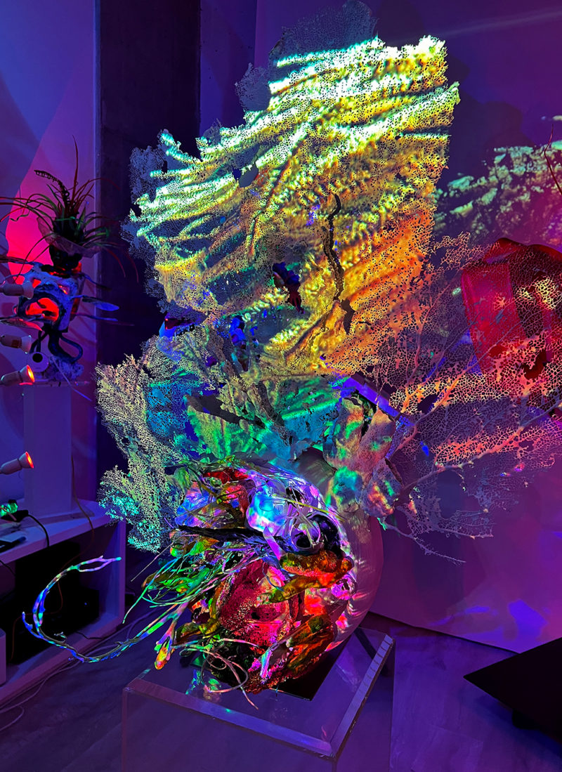 &rdquo; Anthropocene polyps; Filter feeding pixelated plankton_Obscene Plasticene Daydream&rdquo; 2023 Gorgonia ventalina (purple sea fan), reclaimed marine debris from Biscayne Bay (styrofoam,plastic bottles, prescription pill container,bottle caps, derelict fishing net, monofilament, dead sponges and corals), salvaged buoy ball, epoxy, airbrush paint. UHD Video shot underwater in Biscayne Bay and remixed with artist created content in the studio and projection mapped onto sculpture.