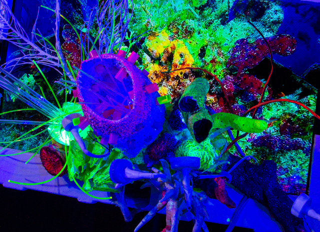 “Obscene Plasticene Daydream; LCD Coral Polyp #3” [Mediated Reef ECOsystem]___video sculpture 2021_