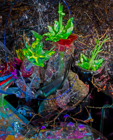 “Obscene Plasticene Daydream_ X-Pollination Station” 2019 photograph, edition of 7 + 2 AP 42″ H (x) 34.28″ W dNASAb